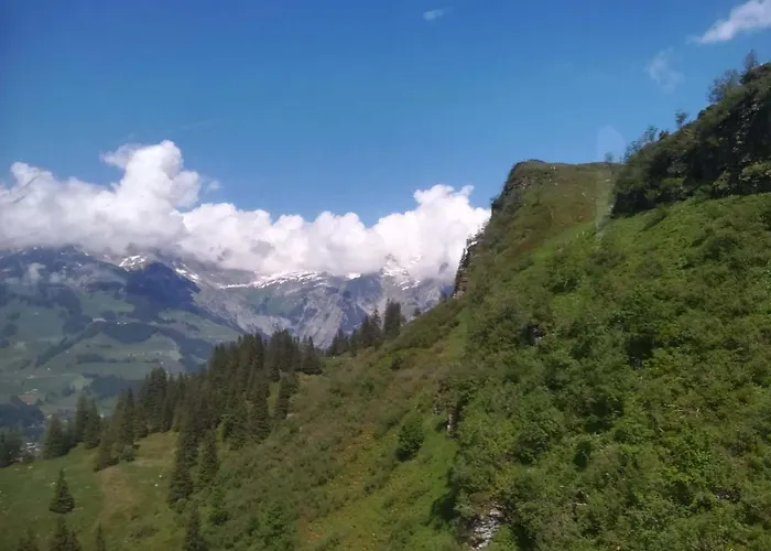 Serviced * Engelberg