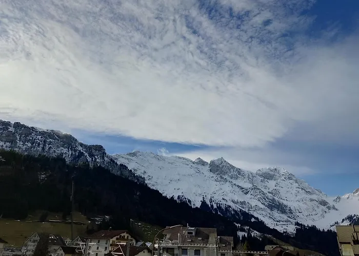 Serviced Apartment *